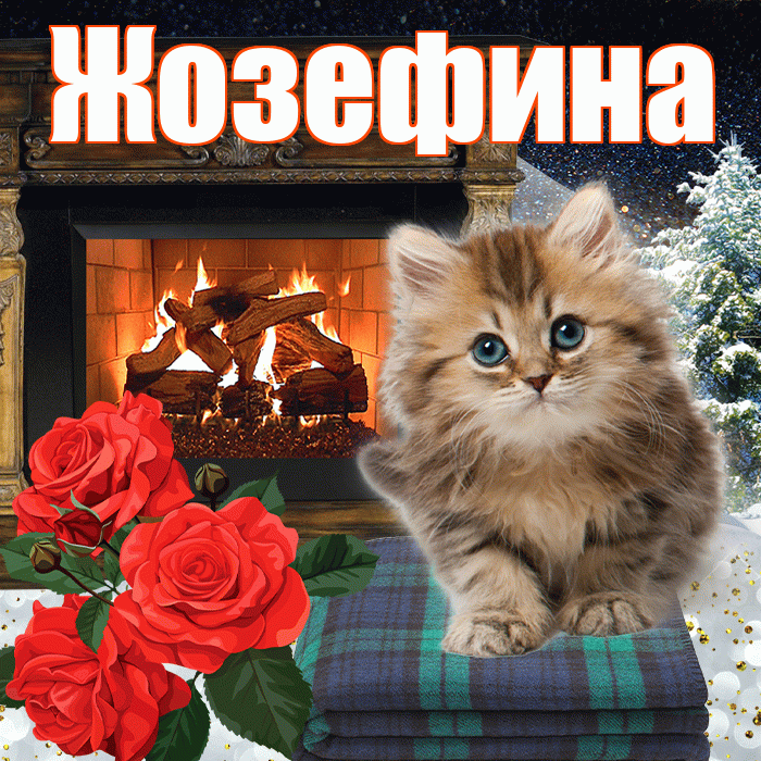 Жозефина! Доброго зимнего вечера! Красивая открытка Жозефине!