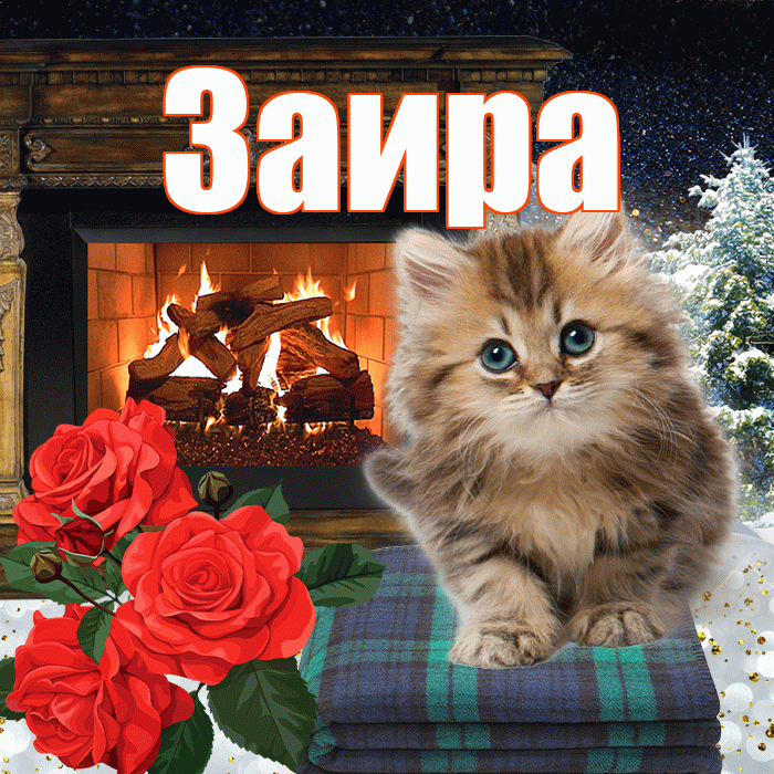 Заира! Доброго зимнего вечера! Красивая открытка Заире!