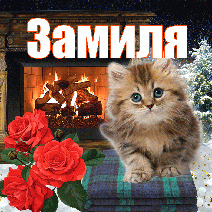 Замиля! Доброго зимнего вечера! Красивая открытка Замиле!