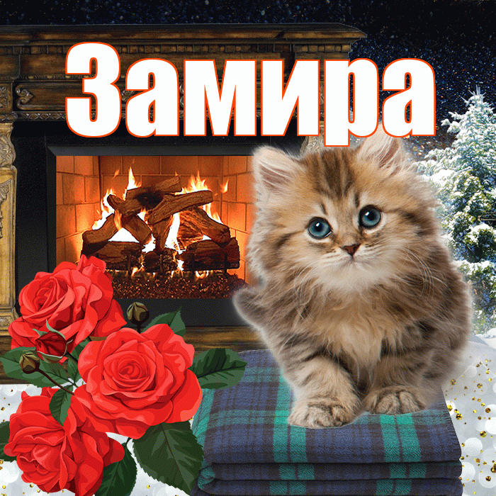 Замира! Доброго зимнего вечера! Красивая открытка Замировне!