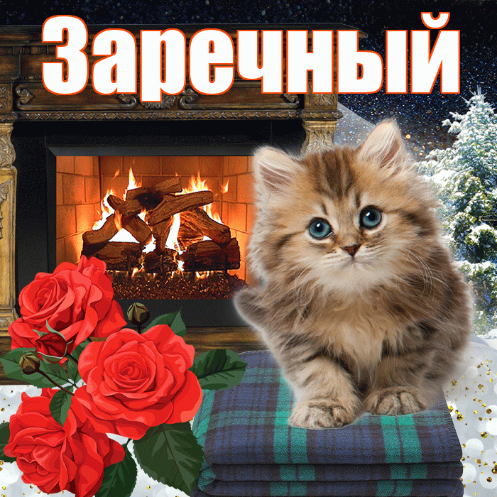 Заречный! Доброго зимнего вечера! Красивая открытка Заречныю!