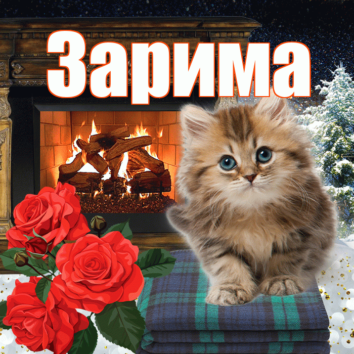 Зарима! Доброго зимнего вечера! Красивая открытка Зариме!