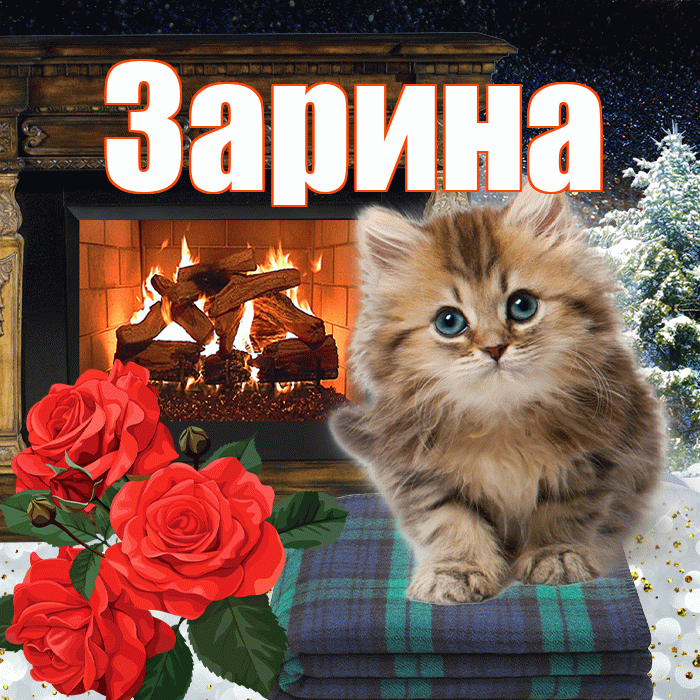 Зарина! Доброго зимнего вечера! Красивая открытка Зарине!