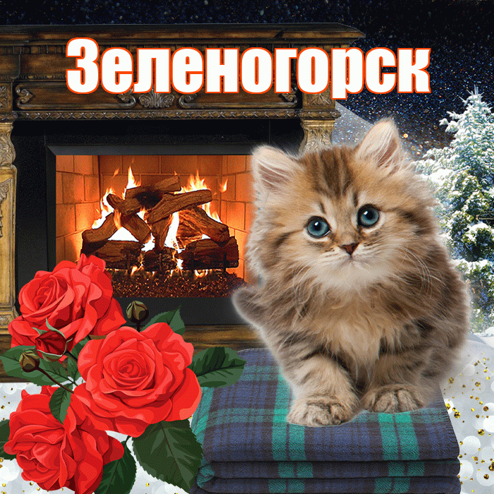 Зеленогорск! Доброго зимнего вечера! Красивая открытка Зеленогорску!