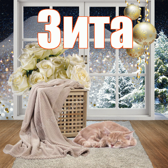Зита! Доброго зимнего вечера! Красивая открытка Зите!