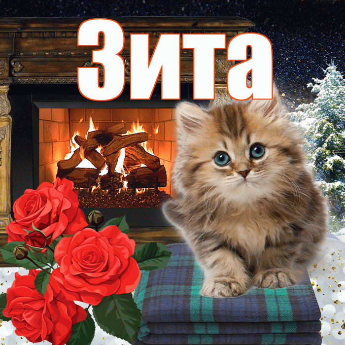 Зита! Доброго зимнего вечера! Красивая открытка Зите!