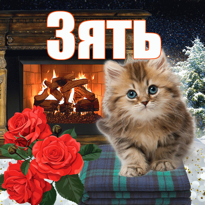 Зять! Доброго зимнего вечера! Красивая открытка Зятю!