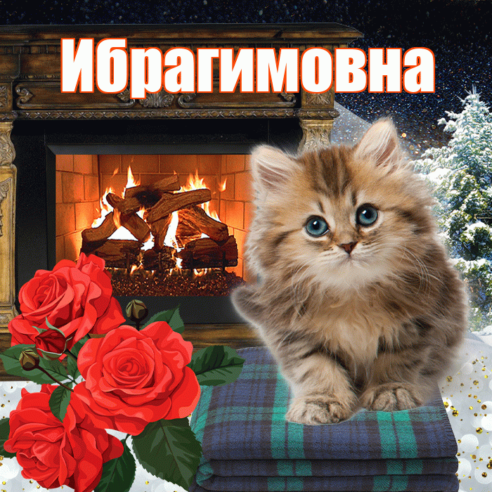 Ибрагимовна! Доброго зимнего вечера! Красивая открытка Ибрагимовне!