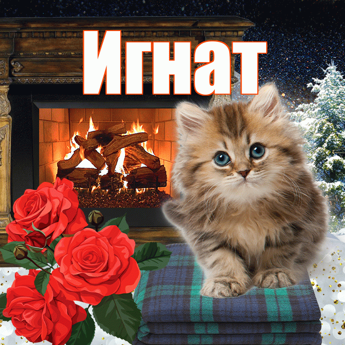 Игнат! Доброго зимнего вечера! Красивая открытка Игнату!