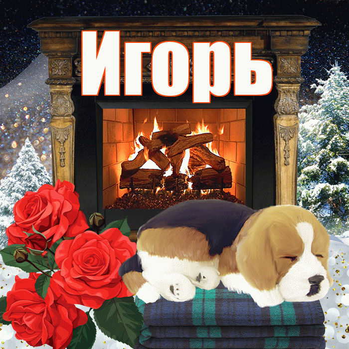 Игорь! Доброго зимнего вечера! Красивая открытка Игорю!