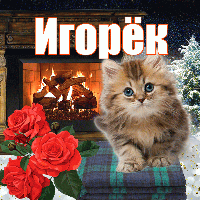 Игорёк! Доброго зимнего вечера! Красивая открытка !