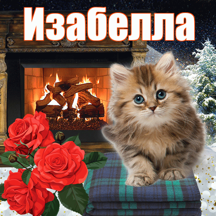 Изабелла! Доброго зимнего вечера! Красивая открытка Изабелле!