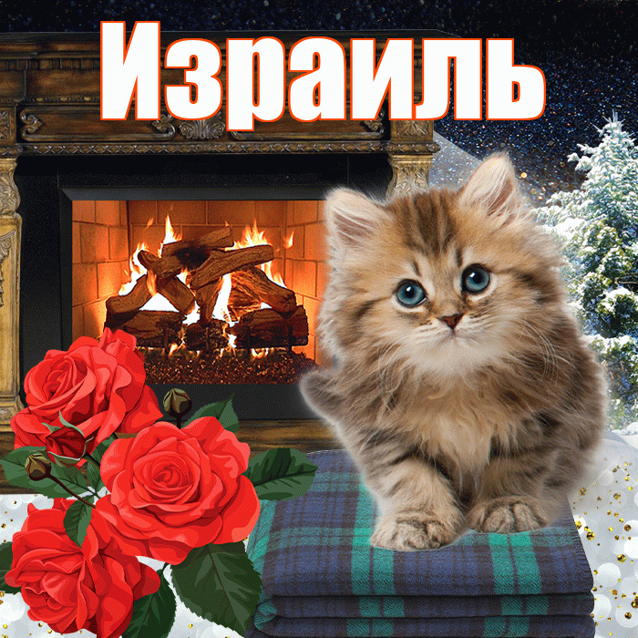 Израиль! Доброго зимнего вечера! Красивая открытка Израилю!