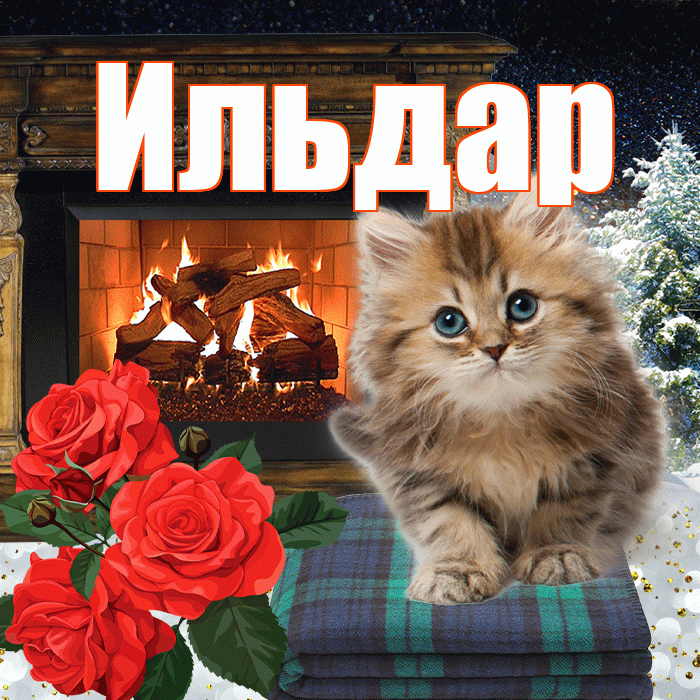 Ильдар! Доброго зимнего вечера! Красивая открытка Ильдару!