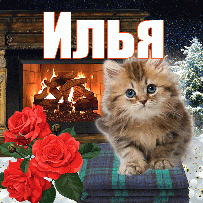 Илья! Доброго зимнего вечера! Красивая открытка Илье!