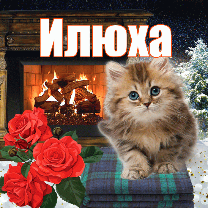 Илюха! Доброго зимнего вечера! Красивая открытка !
