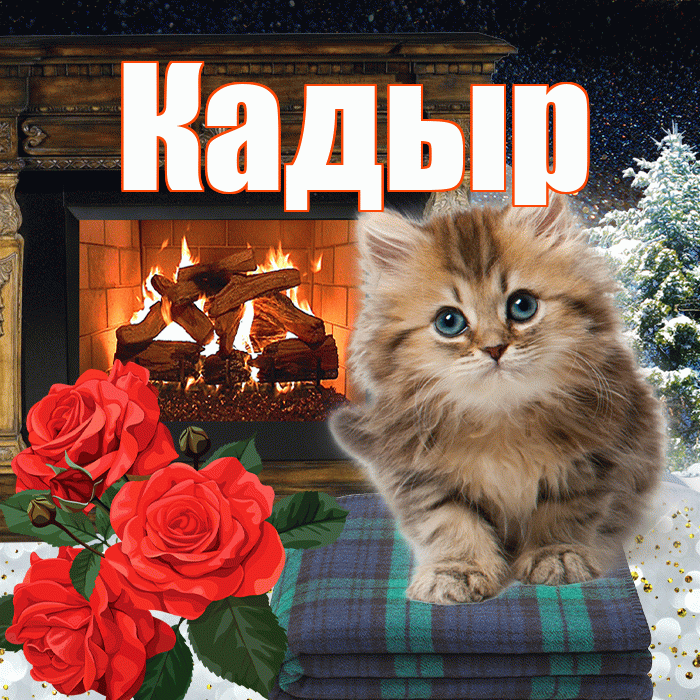 Кадыр! Доброго зимнего вечера! Красивая открытка Кадыру!