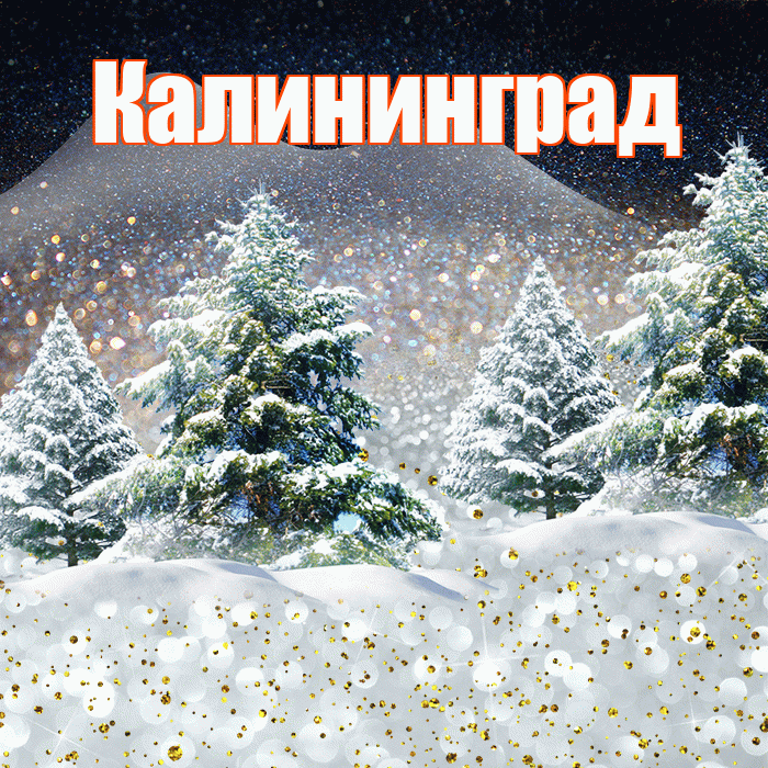Калининград! Доброго зимнего вечера! Красивая открытка Калининграду!