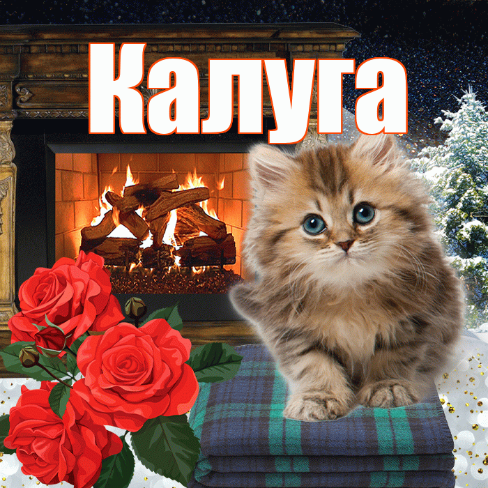 Калуга! Доброго зимнего вечера! Красивая открытка Калуге!