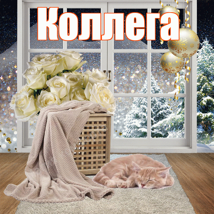 Коллега! Доброго зимнего вечера! Красивая открытка Коллеге!