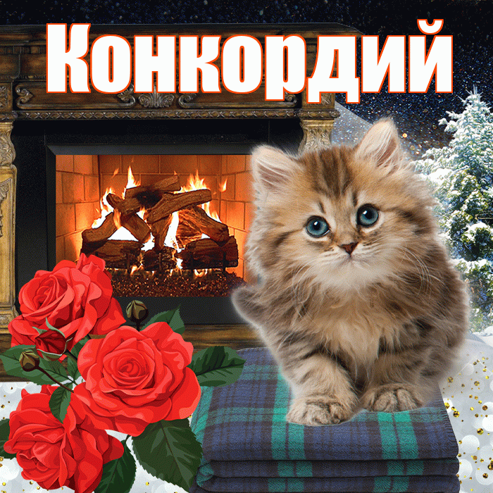 Конкордий! Доброго зимнего вечера! Красивая открытка Конкордию!