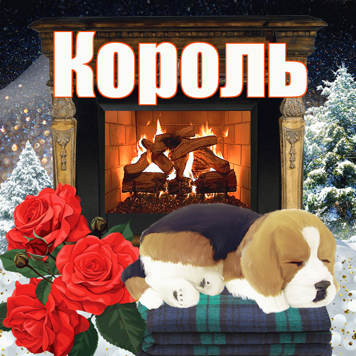 Король! Доброго зимнего вечера! Красивая открытка Королю!