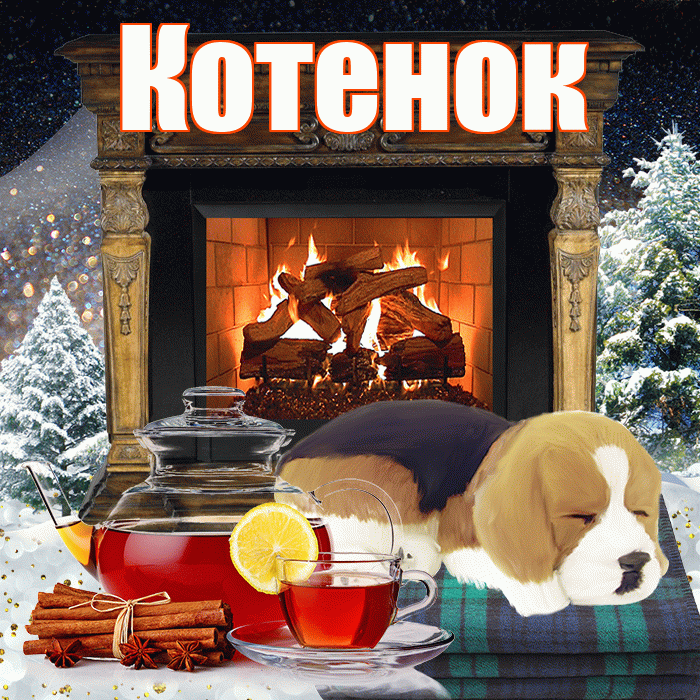 Котенок! Доброго зимнего вечера! Красивая открытка Котенку!