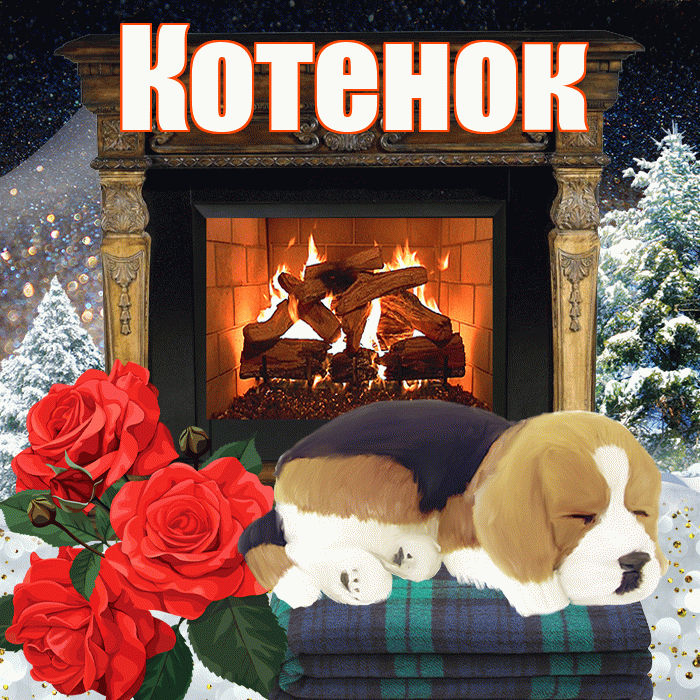 Котенок! Доброго зимнего вечера! Красивая открытка Котенку!