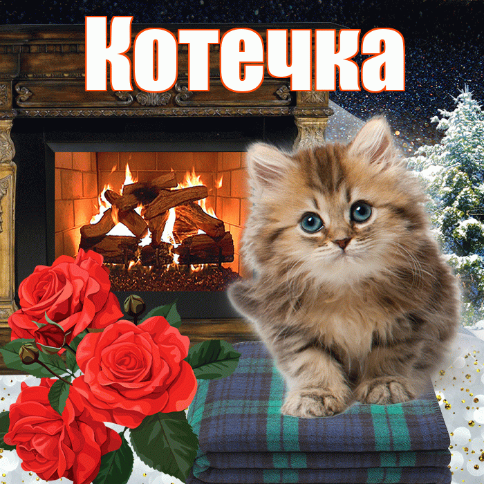 Котечка! Доброго зимнего вечера! Красивая открытка !
