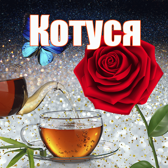 Котуся! Доброго зимнего вечера! Красивая открытка Котусе!