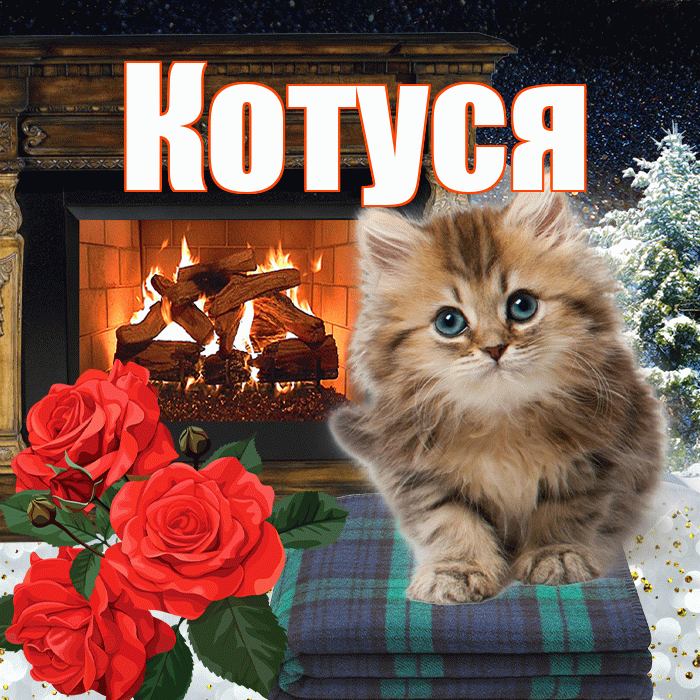 Котуся! Доброго зимнего вечера! Красивая открытка Котусе!
