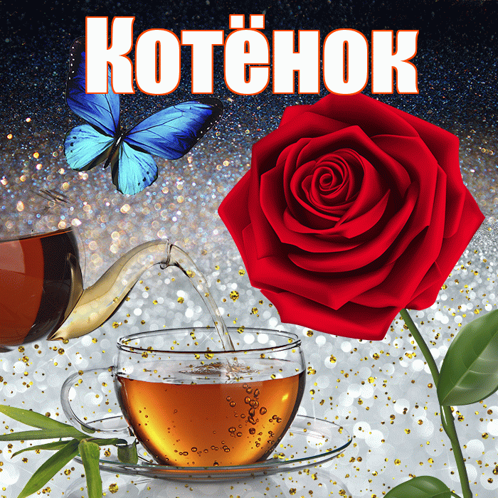 Котёнок! Доброго зимнего вечера! Красивая открытка !