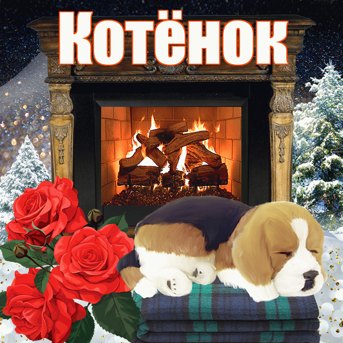 Котёнок! Доброго зимнего вечера! Красивая открытка !