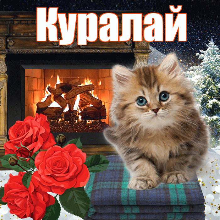 Куралай! Доброго зимнего вечера! Красивая открытка Куралай!
