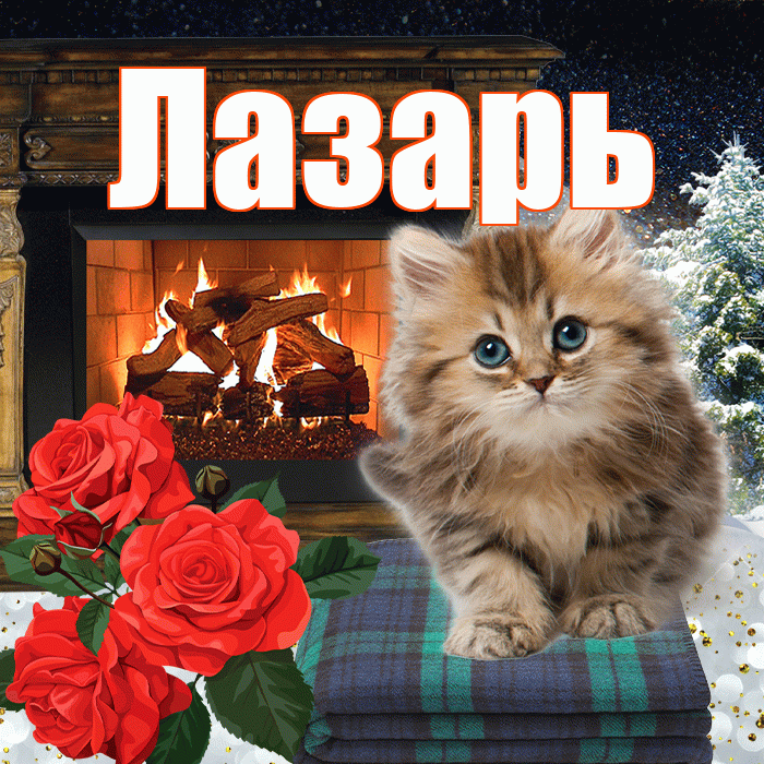 Лазарь! Доброго зимнего вечера! Красивая открытка Лазарю!