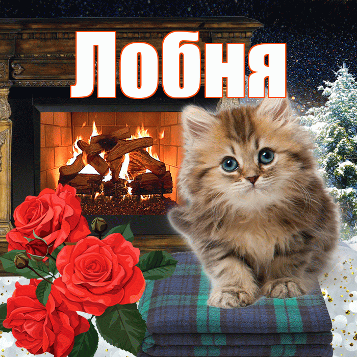 Лобня! Доброго зимнего вечера! Красивая открытка Лобни!
