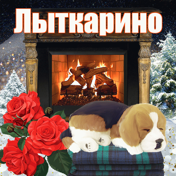 Лыткарино! Доброго зимнего вечера! Красивая открытка Лыткарино!