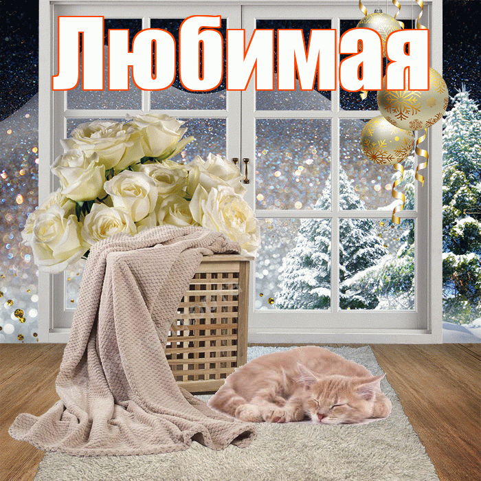 Любимая! Доброго зимнего вечера! Красивая открытка Любимой!