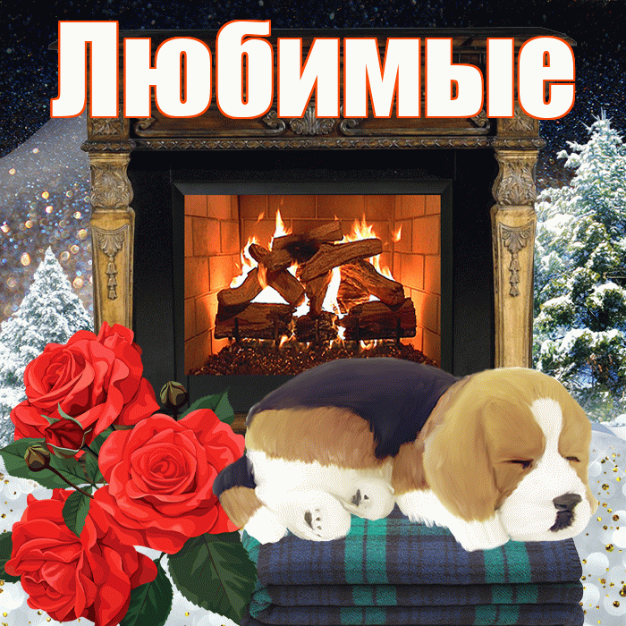 Любимые! Доброго зимнего вечера! Красивая открытка Любимым!