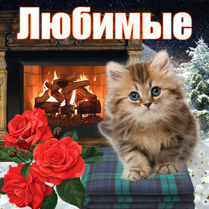 Любимые! Доброго зимнего вечера! Красивая открытка Любимым!