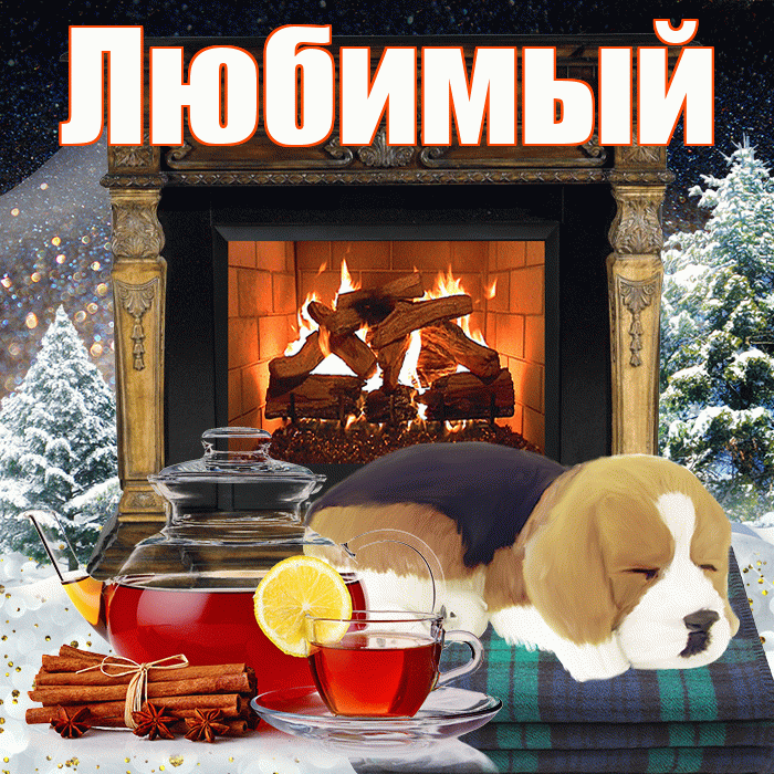 Любимый! Доброго зимнего вечера! Красивая открытка Любимому!