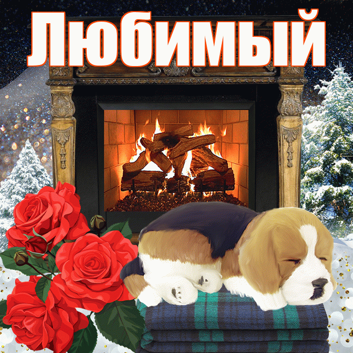 Любимый! Доброго зимнего вечера! Красивая открытка Любимому!