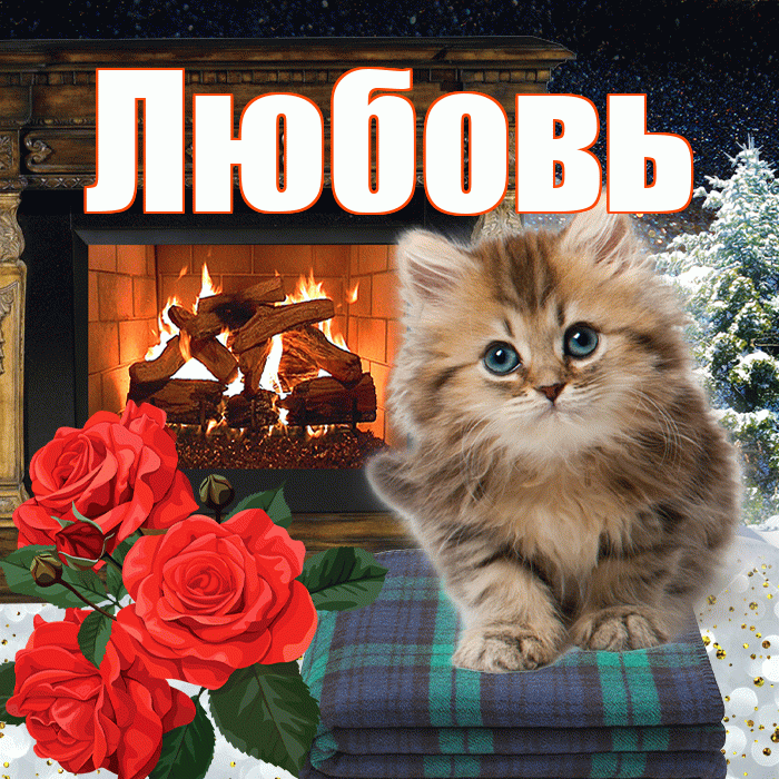 Любовь! Доброго зимнего вечера! Красивая открытка Любовь!
