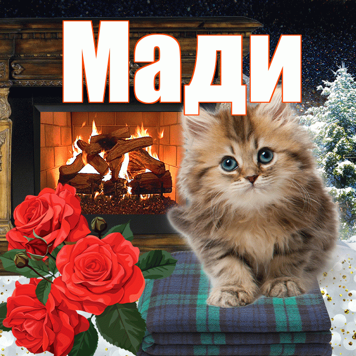 Мади! Доброго зимнего вечера! Красивая открытка Мади!