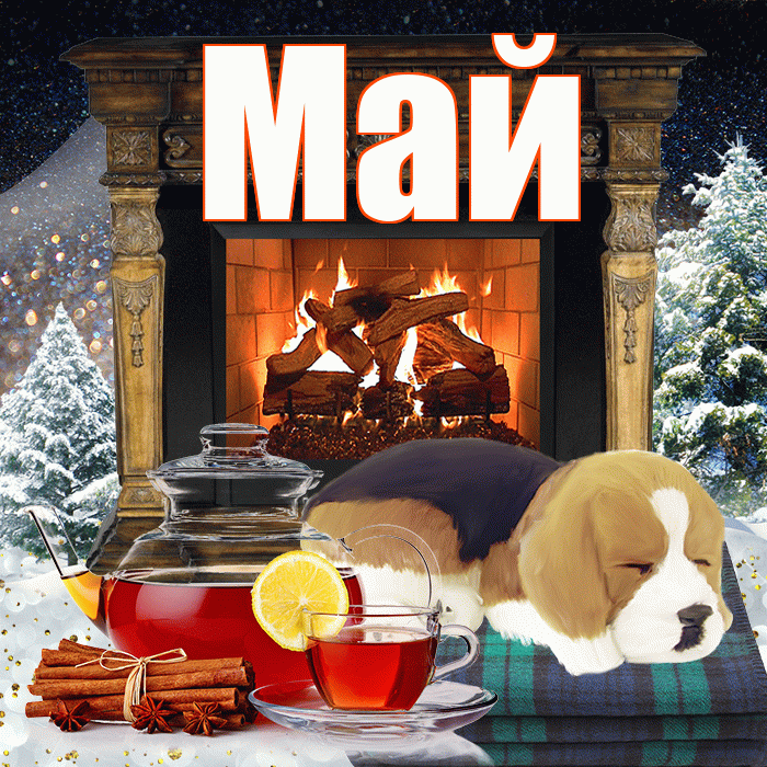 Май! Доброго зимнего вечера! Красивая открытка Маю!