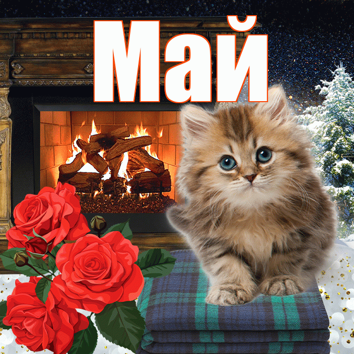 Май! Доброго зимнего вечера! Красивая открытка Маю!