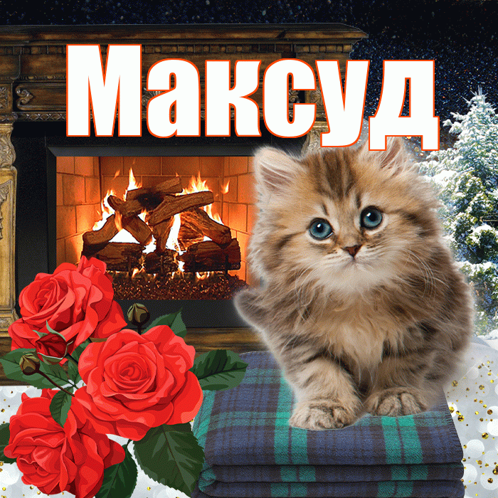 Максуд! Доброго зимнего вечера! Красивая открытка Максуду!