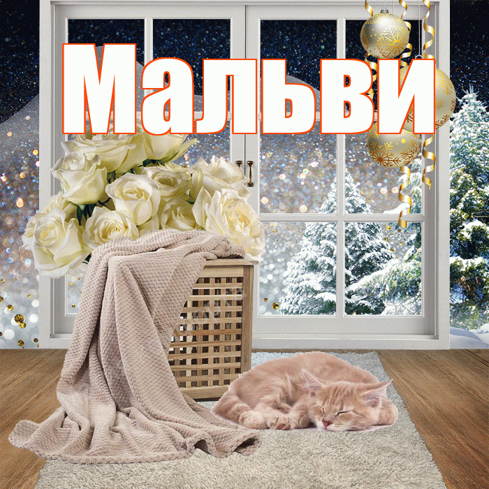 Мальви! Доброго зимнего вечера! Красивая открытка !