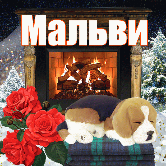 Мальви! Доброго зимнего вечера! Красивая открытка !