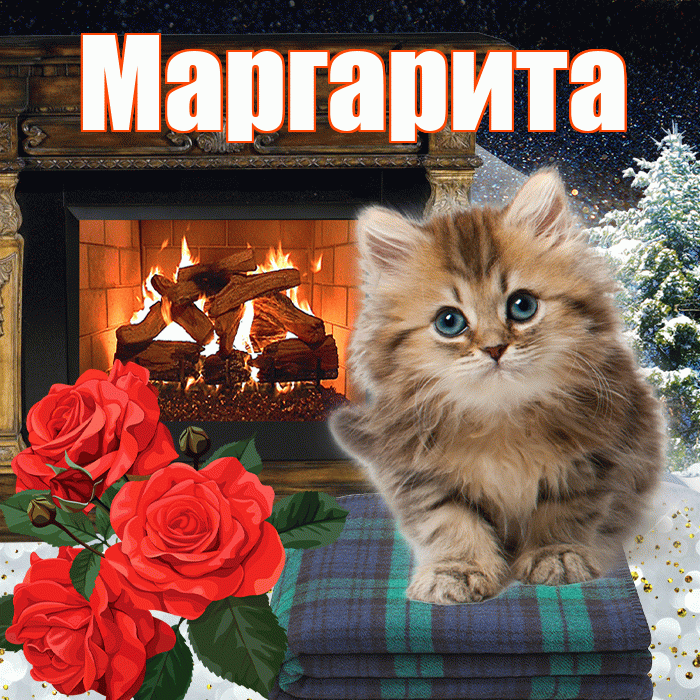 Маргарита! Доброго зимнего вечера! Красивая открытка Маргарите!